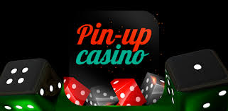 Pin-uP Online Casino Review: Your Portal to Costs Online Video Gaming